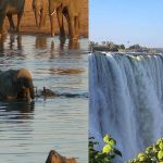 Full details of Zimbabwe's top 10 tourism attraction centers to consider when visiting the country