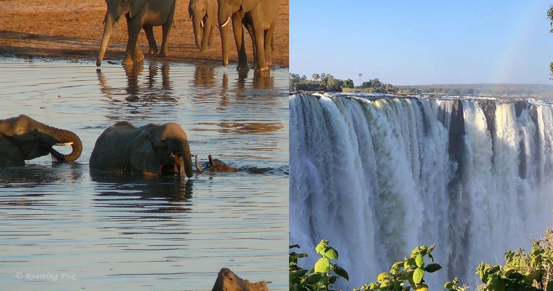 Full details of Zimbabwe's top 10 tourism attraction centers to consider when visiting the country